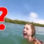 Panikattacke: Diese Schwimmerin hat unglaubliche Angst vor einem Tier im Wasser