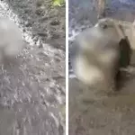 Ihr werdet nie erraten, wegen welchem Tier eine junge Frau in Panik gerät
