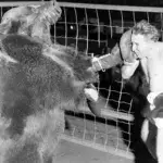 Unglaublich! 1937 versuchte dieser Mann gegen einen Bären zu kämpfen!