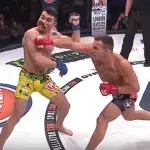 Michael Chandler liefert das brutalste K.O. des Jahres!