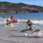 Diese Urlauber in Brasilien haben zum Glück schnell geschaltet!