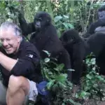 Dieser Tourist hat in Uganda das Glück, Gorillas ganz nah zu kommen