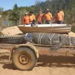 Riesiges Leistenkrokodil nach jahrelanger Verfolgungsjagd in Australien gefangen