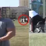 Ein Bodybuilder rettet einen Mann, der von einer Gang zusammengeschlagen wird