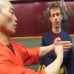 Wissenschaftliche Analyse: Schlagkraft von Shaolin-Mönch