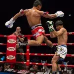 Muay Thai: Saenchai platziert mit diesem magischen Tritt einen der schönsten KOs seiner Karriere