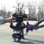 Muskeltraining: Ein Wahnsinns-Street-Workout mitten im Park in den USA