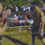 Muay-Thai-Experte fordert Amateur auf der Straße heraus!