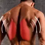 Ein einfacher Trick, um seine Rückenmuskulatur zu stärken