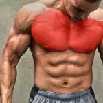Dein ideales Training für eine massive und starke Brustmuskulatur
