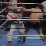 Taekwondo vs. Muay Thai: Wer gewinnt durch einen beeindruckenden K.o.?