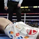 Boxen: Gennady Golovkin siegt per KO in der 2. Runde gegen Vanes Martirosyan