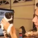 Die besten Zaubertricks von Zach King in einem unglaublichen Vine Überblick