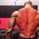 Es ist das ideale Workout für den Rücken und du brauchst dafür nur dein eigenes Körpergewicht