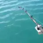 Angler gelingt außergewöhnlicher Fang