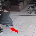 Sie klaut einen Fernseher mit einer einzigartigen Technik