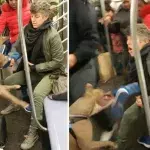 Pitbull sorgt für einen Alptraum in der U-Bahn