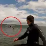 Zwei Surfer bekommen unerwarteten Besuch, der auch Spaß haben will