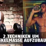 Mit dieser goldenen Regel bauen Sie schnell Muskeln auf!