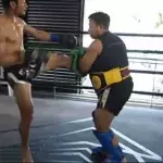 Die Tritte dieses Muay-Thai-Profis sind gewaltig