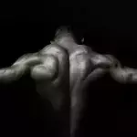 Ein kluger Trick für Ihr Schultertraining