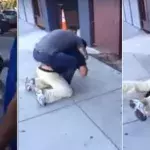 Ein Jiu-Jitsu-Lehrer erteilt einem respektlosen Typen eine Lektion
