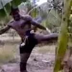 Muay Thai: Buakaw bricht einen Baum mit seinen eigenen Beinen entzwei!