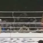 Ein Sumo-Kämpfer von 272 kg gegen einen MMA-Kämpfer von 76 kg. Wer wird gewinnen?