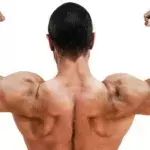 15 Übungen für den Fitnessraum, um ultra muskulöse Arme zu bekommen