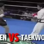 Ein Boxer trifft auf einen Taekwondo-Kämpfer: Wer ist stärker?