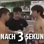 Taekwondo vs Muay Thai: Wer siegt in diesem Kampf nach nur drei Sekunden per beeindruckendem K.O.?