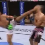 MMA: Ein beeindruckender K.O. nach einem brutalen Kick