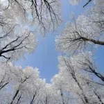 Wortwahl in deutscher Wettervorhersage empört Russland