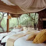 Makanyane Safari Lodge: Ein Luxushotel in der großartigen afrikanischen Savanne