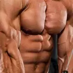 Workout: Die besten Übungen für riesige Trizeps
