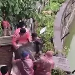 Zoo: Was die Männer mit dem Esel vorhaben, ist widerwärtig!