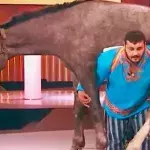 Dmitriy Khaladzhi, der etwas andere Bodybuilder aus der Ukraine