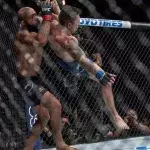 Demetrious Johnson packt gegen Ray Borg einen brutalen Armhebel aus und schlägt den UFC-Rekord