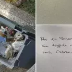 Restaurantbesitzer verbietet Obdachlosem, im Müll nach Essen zu suchen