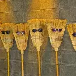 Die neue Challenge: #Nasabroom #Broomchallenge