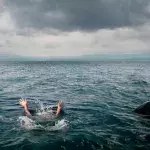 In einem TikTok-Video kommt es zum Aufeinandertreffen zwischen Hai und Schwimmern. 