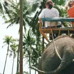 Elefanten in Thailand