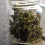 Cannabis-Konsum: Dieses Sinnesorgan wird auf Dauer durch das Rauchen verändert