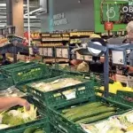 Kaufland verkauft manipulierte Pilze: Stiftung Warentest spricht Klartext