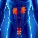 Prostatakrebs: Definition, Anzeichen und Symptome, Therapie und Behandlung durch Operation oder Bestrahlung, wie sind Heilungschancen und Lebenserwartung?