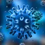 Herpes Simplex Virus: Ursachen, Symptome, Therapie und Behandlung, um was handelt es sich bei Herpes an der Lippe und Herpes genitalis?