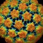 HPV: Definition, Symptome, Übertragung, Therapie und Behandlung, Impfung, was ist das Humane Papillomavirus?