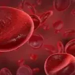 Leukämie: Definition und Formen, Ursachen, Symptome, Therapie und Behandlung, Heilungschancen, um was handelt es sich?