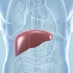 Leberzirrhose: Symptome, Lebenserwartung, Endstadium, Ursachen und Therapie