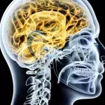 Parkinson: Symptome, Demenz, Ursachen, Verlauf, Therapie und Lebenserwartung